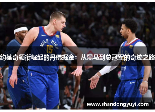 约基奇领衔崛起的丹佛掘金:从黑马到总冠军的奇迹之路