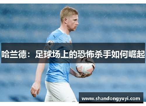 哈兰德:足球场上的恐怖杀手如何崛起