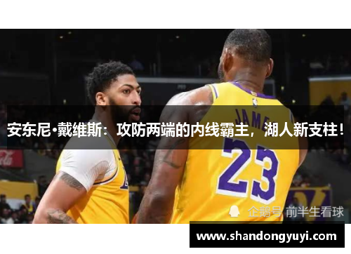 安东尼·戴维斯:攻防两端的内线霸主,湖人新支柱!