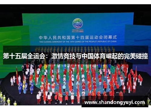 第十五届全运会:激情竞技与中国体育崛起的完美碰撞