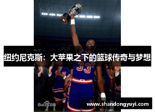纽约尼克斯:大苹果之下的篮球传奇与梦想