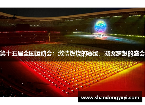 第十五届全国运动会:激情燃烧的赛场,凝聚梦想的盛会