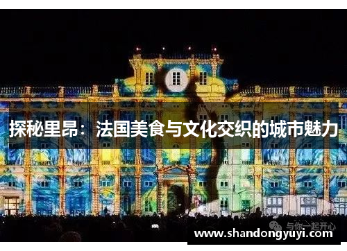 探秘里昂:法国美食与文化交织的城市魅力